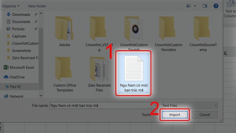 Chọn file Plain Text và nhấn chọn import