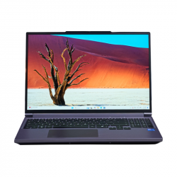 Mechrevo Aurora X 2025 | Core i7-14650HX, 16GB, 1TB, RTX 5060 8GB, 16'' 2K+ 165Hz