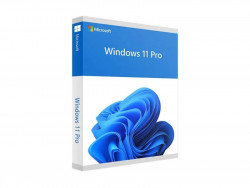 Phần mềm Microsoft Windows Pro 11 64Bit Eng Intl 1pk DSP OEI DVD (FQC-10528)